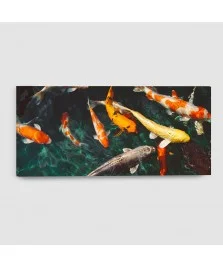 Quadro Pesci Orizzontale