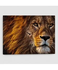 Leone - Quadro su tela con orologio - Rettangolare