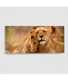 Leonessa e Leoncino - Quadro su tela - Rettangolare