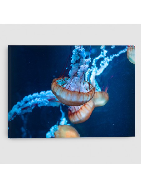 Meduse - Quadro su tela - Rettangolare
