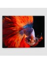 Pesce Combattente - Quadro su tela - Rettangolare