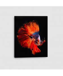 Pesce Combattente - Quadro su tela con orologio - Verticale