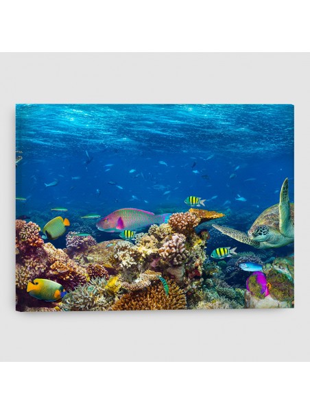 Pesci Tropicali - Quadro su tela - Rettangolare