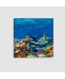 Pesci Tropicali - Quadro su tela - Quadrato con orologio