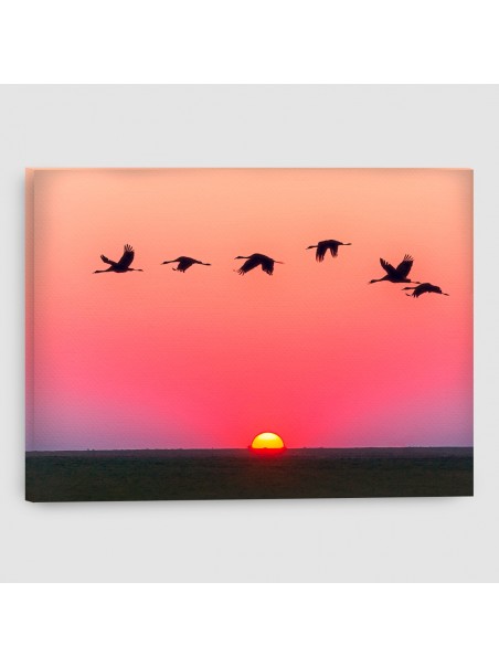 Rondini - Quadro su tela - Rettangolare