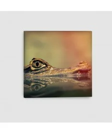 Coccodrillo - Quadro su tela - Quadrato