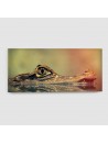 Coccodrillo - Quadro su tela - Rettangolare