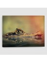 Coccodrillo - Quadro su tela - Rettangolare