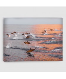 Delfini - Quadro su tela - Rettangolare