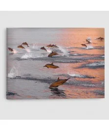Delfini - Quadro su tela - Rettangolare