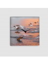 Delfini - Quadro su tela - Quadrato con orologio