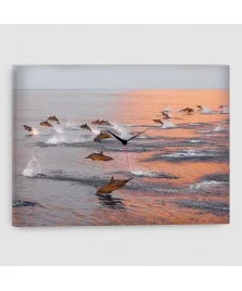 Delfini - Quadro su tela con orologio - Rettangolare