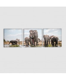 Elefante Africano - Quadro su tela - 3 Pannelli con orologio