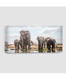 Elefante Africano - Quadro su tela - Rettangolare