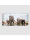 Elefante Africano - Quadro su tela - Rettangolare