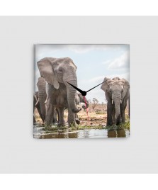 Elefante Africano - Quadro su tela - Quadrato con orologio