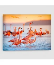 Fenicotteri - Quadro su tela - Rettangolare