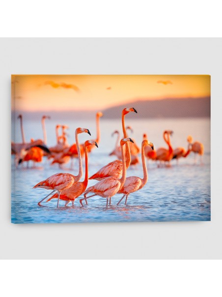 Fenicotteri - Quadro su tela - Rettangolare