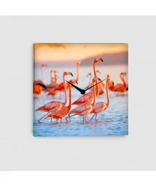 Fenicotteri - Quadro su tela - Quadrato con orologio