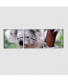Koala - Quadro su tela - 3 Pannelli con orologio
