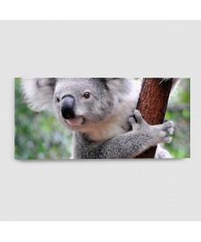 Koala - Quadro su tela - Rettangolare
