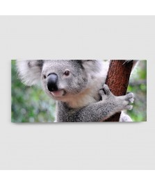 Koala - Quadro su tela - Rettangolare