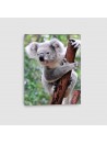 Koala - Quadro su tela - Verticale