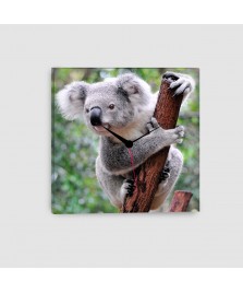 Koala - Quadro su tela - Quadrato con orologio