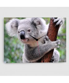 Koala - Quadro su tela con orologio - Rettangolare