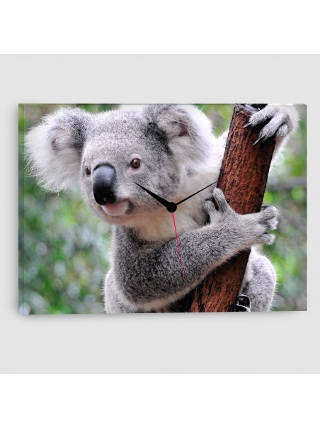 Koala - Quadro su tela con orologio - Rettangolare