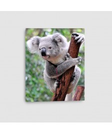 Koala - Quadro su tela con orologio - Verticale