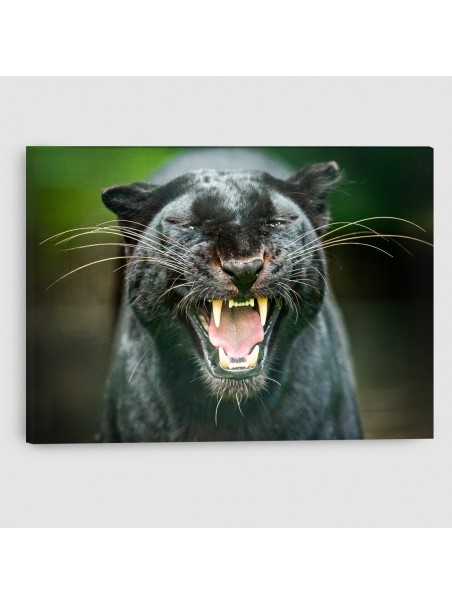 Pantera Nera - Quadro su tela - Rettangolare