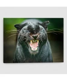 Pantera Nera - Quadro su tela - Rettangolare