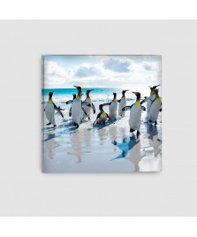 Pinguini - Quadro su tela - Quadrato