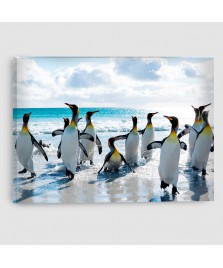 Pinguini - Quadro su tela - Rettangolare