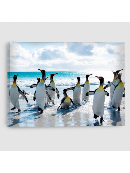 Pinguini - Quadro su tela - Rettangolare