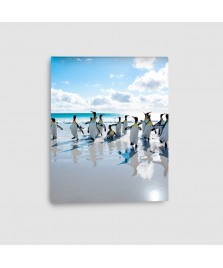 Pinguini - Quadro su tela - Verticale