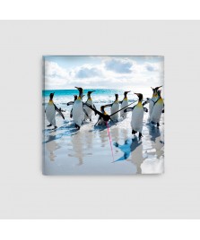Pinguini - Quadro su tela - Quadrato con orologio