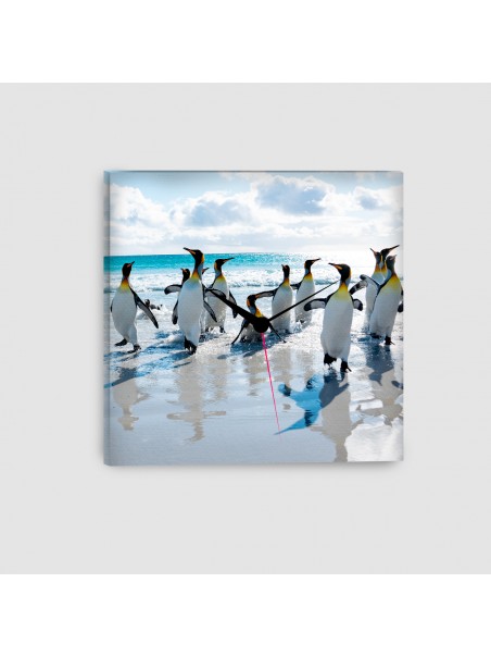 Pinguini - Quadro su tela - Quadrato con orologio