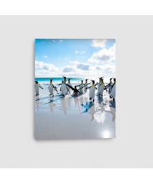 Pinguini - Quadro su tela con orologio - Verticale