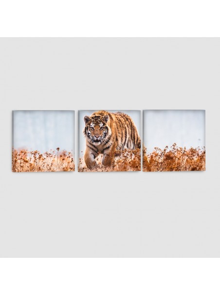 Tigre - Quadro su tela - 3 Pannelli