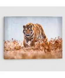 Tigre - Quadro su tela - Rettangolare