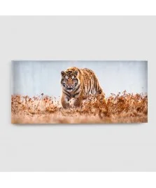 Tigre - Quadro su tela - Rettangolare
