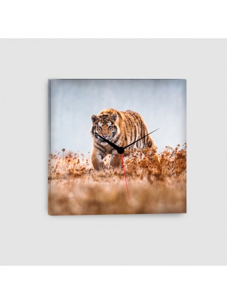 Tigre - Quadro su tela - Quadrato con orologio