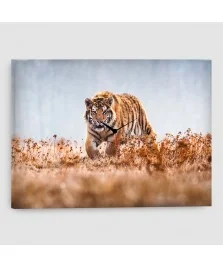 Tigre - Quadro su tela con orologio - Rettangolare